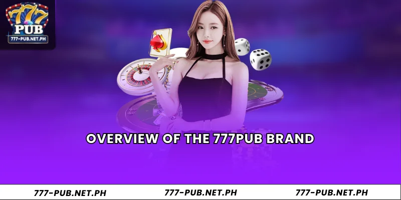 Overview of the 777Pub brand