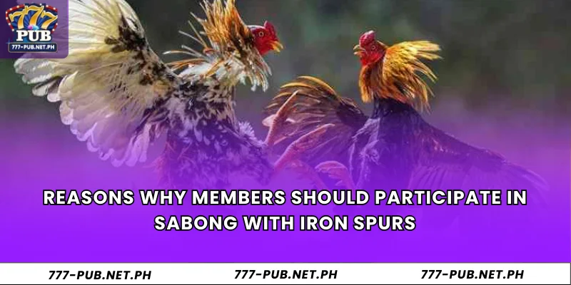 Reasons why members should participate in Sabong with iron spurs