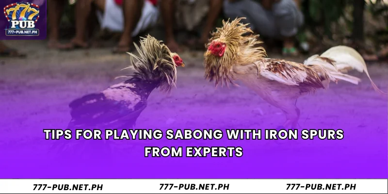 Tips for playing Sabong with iron spurs from experts