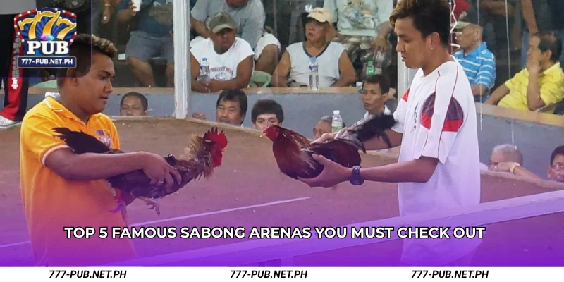Top 5 Famous Sabong Arenas You Must Check Out