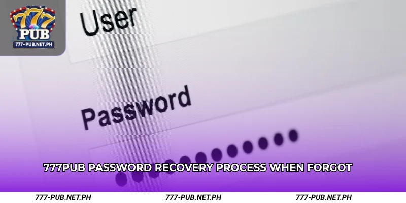 777PUB Password Recovery Process When Forgot